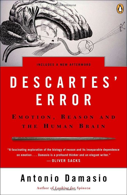 Descartes' Error book cover